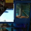 먹통낙지전문점 이미지