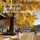 마을회관 | 경남 창녕 은행나무 명소 추천 탐하리 졸음쉼터 &amp; 신당새마을회관 후기(방문날짜 25.11.23)