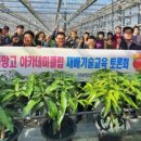 전라남도 농업기술원 과수연구소 이미지