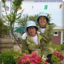 금서초등학교 이미지