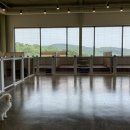 퍼피힐(PUPPY HILL) 이미지