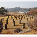 비산비야 티스토리