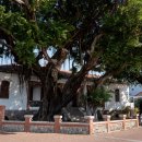 동흥상회 이미지