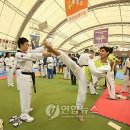 태권도 진흥 체육관 이미지