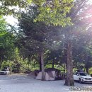 [중앙일보] 열대야가 단 하루도 없는 마을··· 대통령상 수상한 ‘여름 낙원’ 이미지