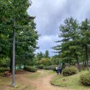 일동라스베가스 공원 이미지