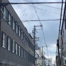 이나리메디컬 | [230925-230928] 도톤보리 찍먹 후, 교토 아라시야마, 고즈넉함에 심취한 마지막 밤, 오사카(3)