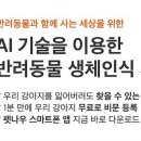 펫나우 이미지