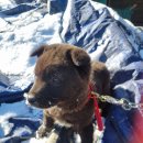 하영 경로당 이미지