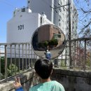 봉제산 장수동산 이미지