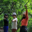 창공펜션 이미지