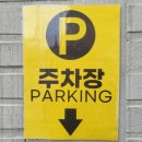 스테이영 애견학교 이미지