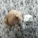 빅토리농장 이미지