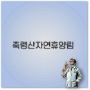 잣나무향기 | 축령산 자연휴양림 예약 숙소 캠핑 맛집 잣나무 즐기기 2025년 4월 핵심 정리