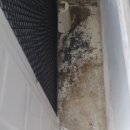 배울1로 이미지