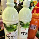 매화고 | [제25회 광양 매화축제&amp; 구례 산수유축제] 꽃 반!! 사람 반!! (반더룽 산악회 버스 이용)