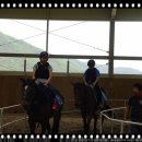 곡성-169 이미지