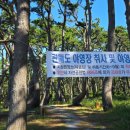 관매마을 | [한국기행] 조도군도 전라남도 - 4부. 매화도 반한 섬, 관매도ㅣ관매도ㅣ3월 19일 오늘 방송 정보