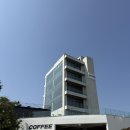 카페대명항 | [대명다방] 김포 대명항 오션뷰 대형카페 추천후기! (반려동물 동반가능)