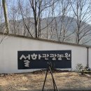 코미니티카페포레스트 네이버블로그