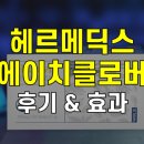 딕스시스템 | 헤르메딕스 내돈내산 후기 효과 부작용 복용법