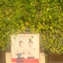 화성휴게소(상행) 이미지