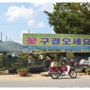 청일조경