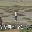 부흐