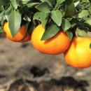 칠전동길3 이미지