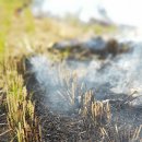 충남목장 이미지