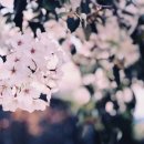 선흘 그곳 이미지