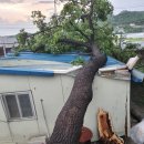 회천1동 행정복지센터 이미지