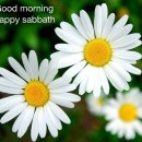 Happy Sabbath 이미지