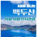 라이언여행사