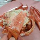 속초 붉은 대게 이미지