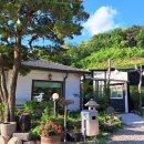 청국장과흙두부 이미지