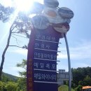 천지송어장 | No.116:영월 덕가산(2020.6.13)