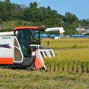 신안군농업기술센터 | 신안군, 벼 깨씨무늬병 확산 방지를 위한 적기수확 지도 강화