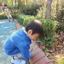 연신초교 이미지