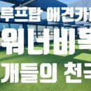 워너비독 이미지