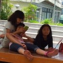 완월초등학교 이미지