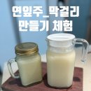 (주)신평 | 신평양조장 연잎주 막걸리 빚기 체험후기_막걸리 만들기_수제막걸리