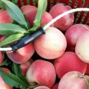 형준농장 이미지