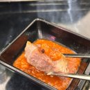 도니조아 이미지