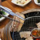 고기팩트