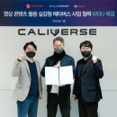 콘텐츠버스