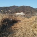 봉황사우나 이미지