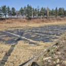 강동로4-4 이미지