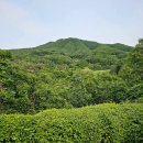 더스타휴 골프앤리조트