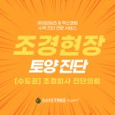 세이브트리엑스퍼트 이미지
